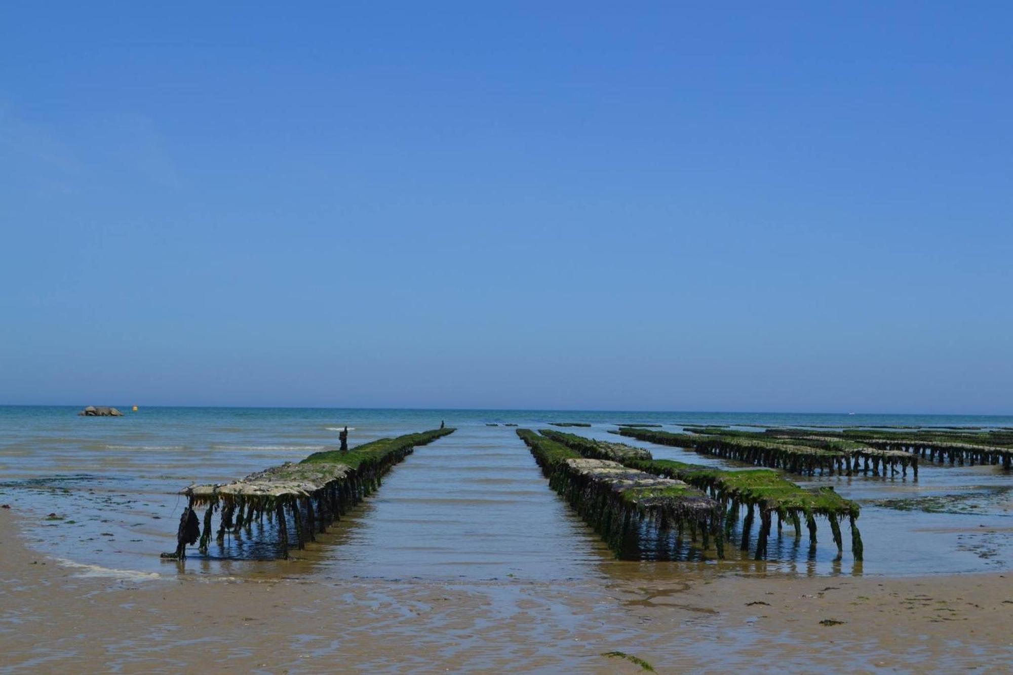 L Ancre Maison Sejour Spacieux Lumineux Avec Jardin Et Exterieur Amenage Terrain De Petanque Proche Omaha Beach, Grandcamp Maisy Et Pointe Du Hoc Сasa de vacaciones *